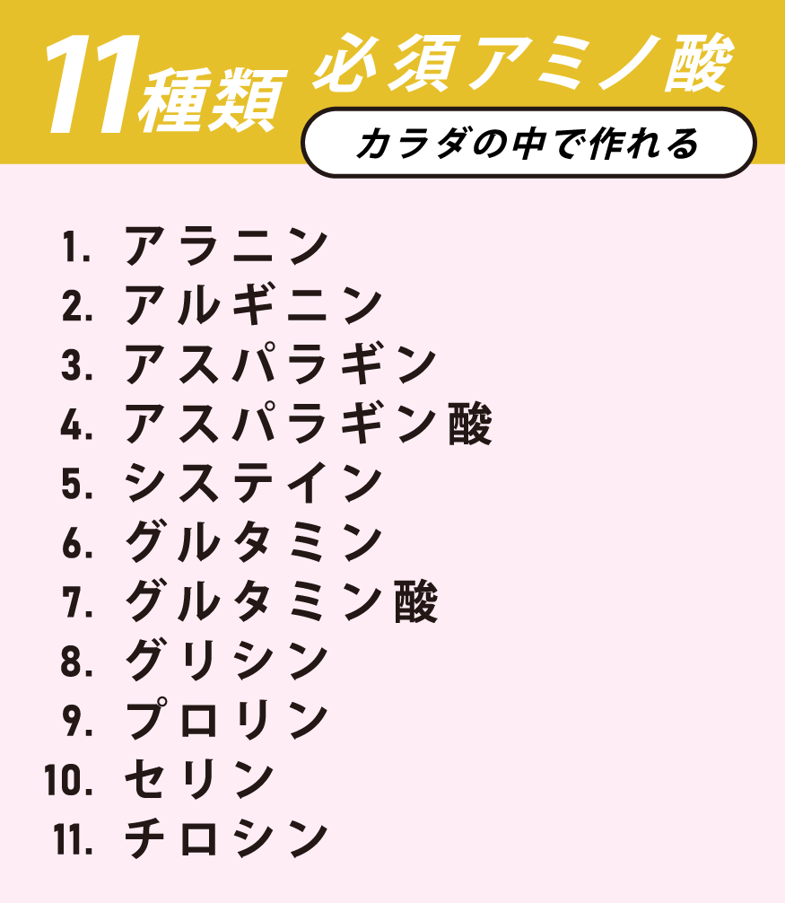 カラダの中で作れる必須アミノ酸11種類