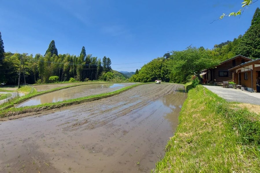 棚田の煌（コシヒカリ）玄米10kg | 商品一覧,米,コシヒカリ | さ