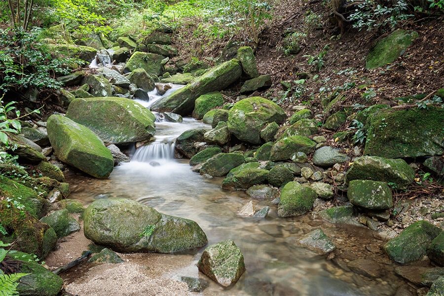 湧き水イメージ