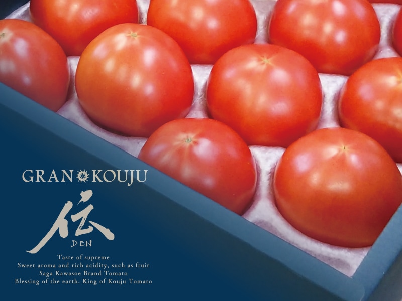 トマト通販｜日本一の値がつく光樹とまとを販売｜さがまちショップ 