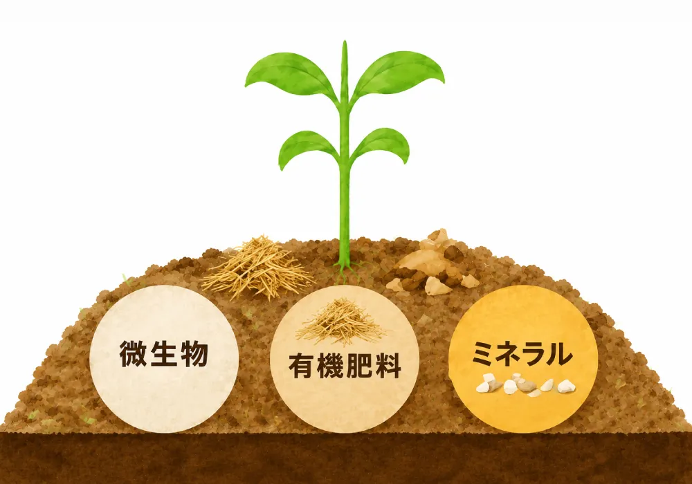 西村農園の土づくり
