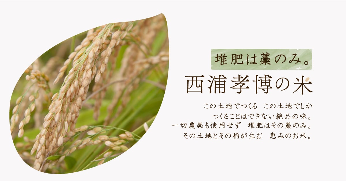 有機肥料も一切使用しない堆肥は藁だけで育てた西浦孝博の米