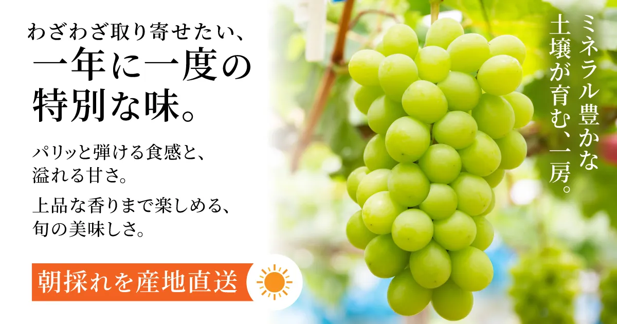 西山農園のシャインマスカット