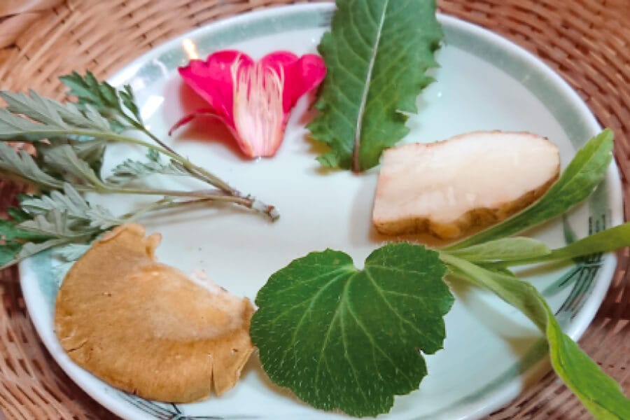 山野菜料理レストラン「森の香 菖蒲ご膳」料理2