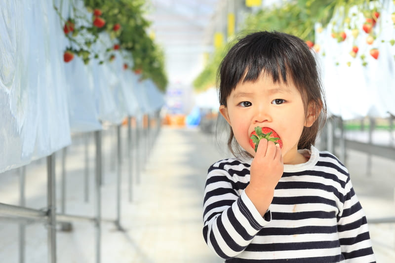 @FARMがお届けする「Delicious&Happy」