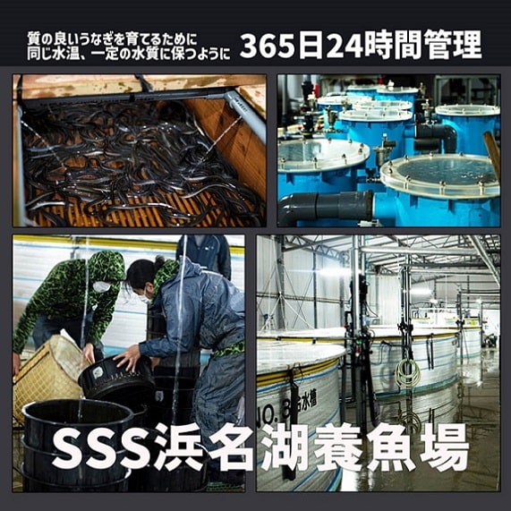 創業50年のうなぎ処勝美での調理加工こだわり製法