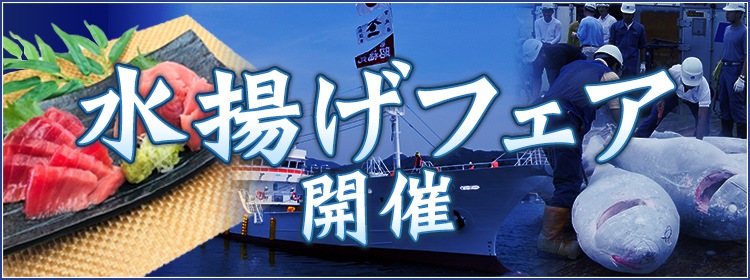 新鮮なまぐろと三陸の海産物の通販 松島さかな市場オンラインショップ
