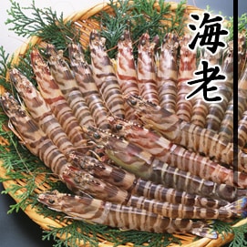 海老（エビ）