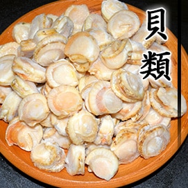 貝類（カイ）