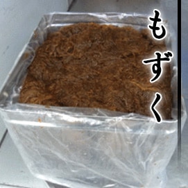 海藻
