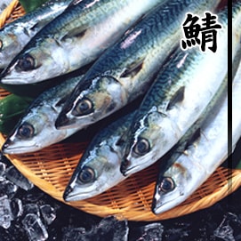 鯖（サバ）