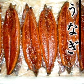 蒲焼鰻
