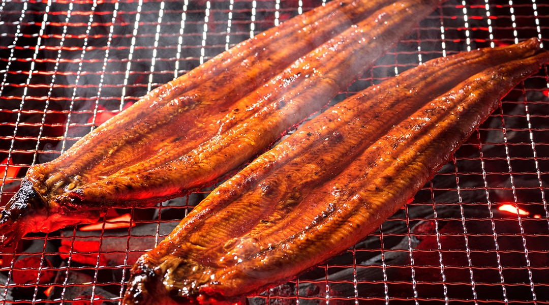蒲焼き鰻