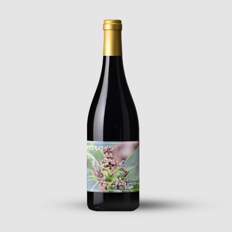 2024 �ޥ����åȥ٥��꡼A