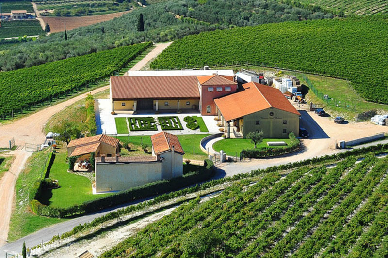  テヌータ サンアントニオ サンアントニオ ソアーヴェ フォンタナ 2021 750ml 白ワイン ガルガネーガ イタリア