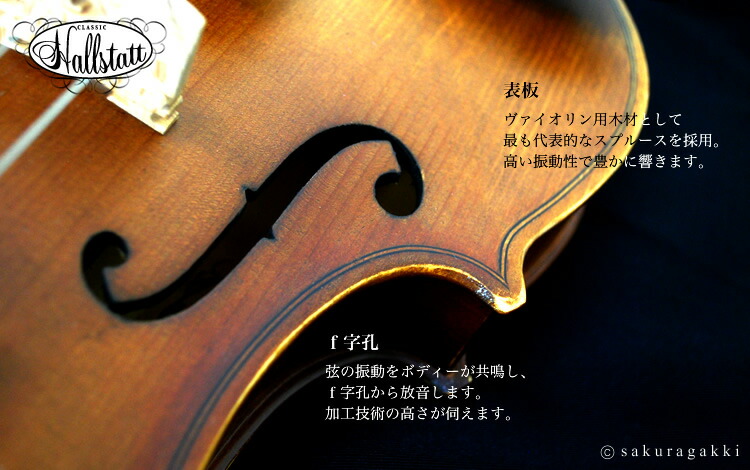 バイオリン Hallstatt V-12 初心者入門セット 10点 【ハルシュタット