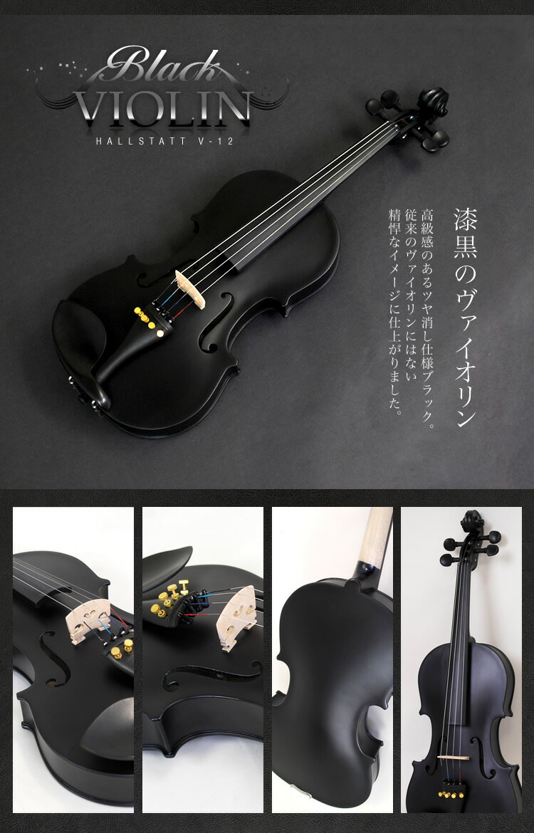 Hallstatt バイオリン 教則本DVD付き10点セット V-12 弦楽器