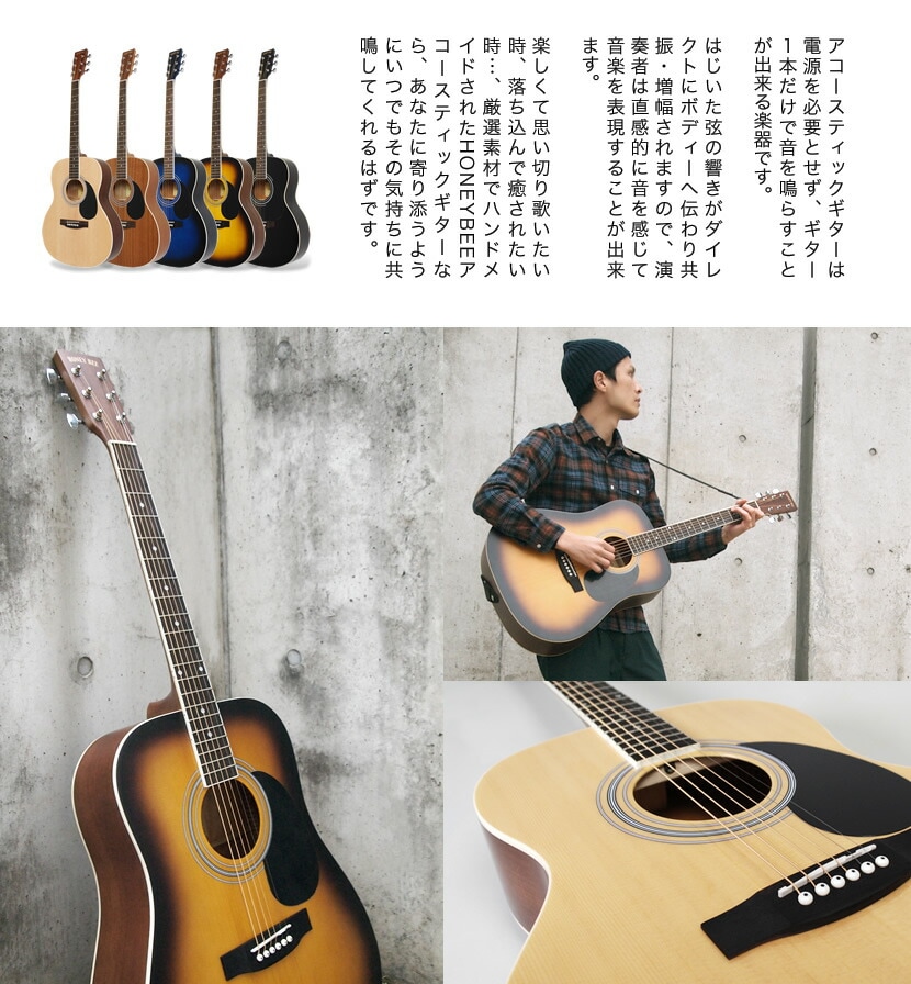 アコースティックギター HONEY BEE W-15/F-15/HJ-18 16点 初心者セット【アコギ 入門セット W15 F15 HJ18