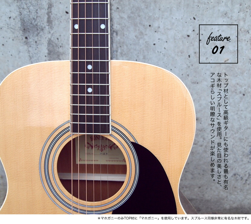 アコースティックギター HONEY BEE W-15/F-15/HJ-18 16点 初心者