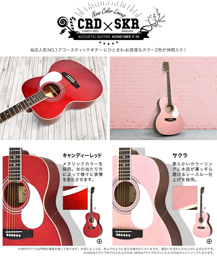 アコースティックギター HONEY BEE W-15/F-15/HJ-18 16点 初心者セット 