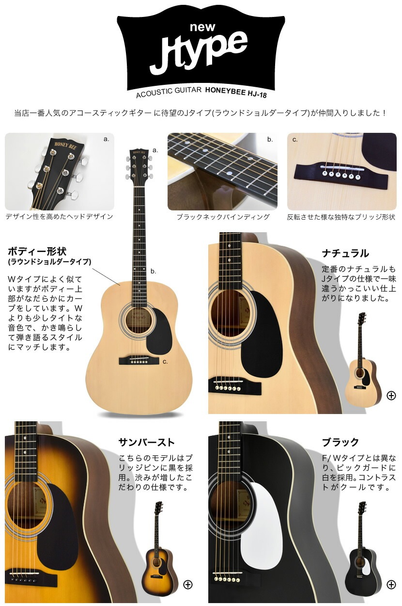 アコースティックギター HONEY BEE W-15/F-15/HJ-18 16点 初心者セット 