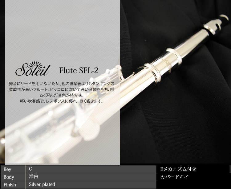 Soleil フルート 初心者 入門セット SFL-2/SV【ソレイユ SFL2SV 管楽器
