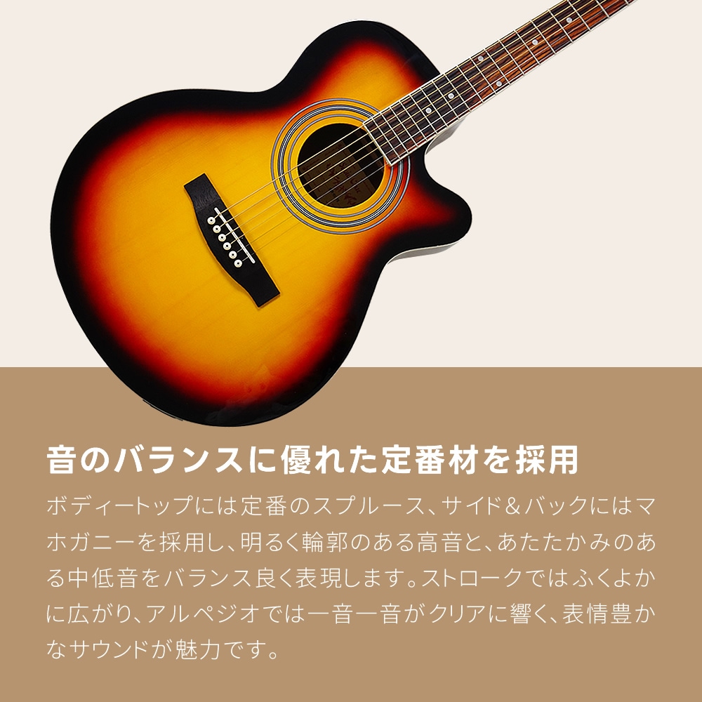 セピアクルーエレアコエレギターCUSTOM EAW450vs エレアコ Sepia Crue EAW-01 単品（ソフトケース、シールドケーブル