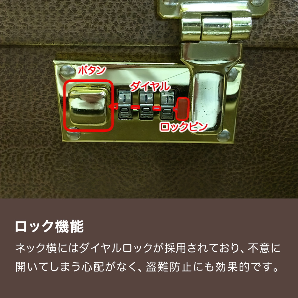 アコースティックギター用ハードケース(ドレッドノートシェイプ対応)W