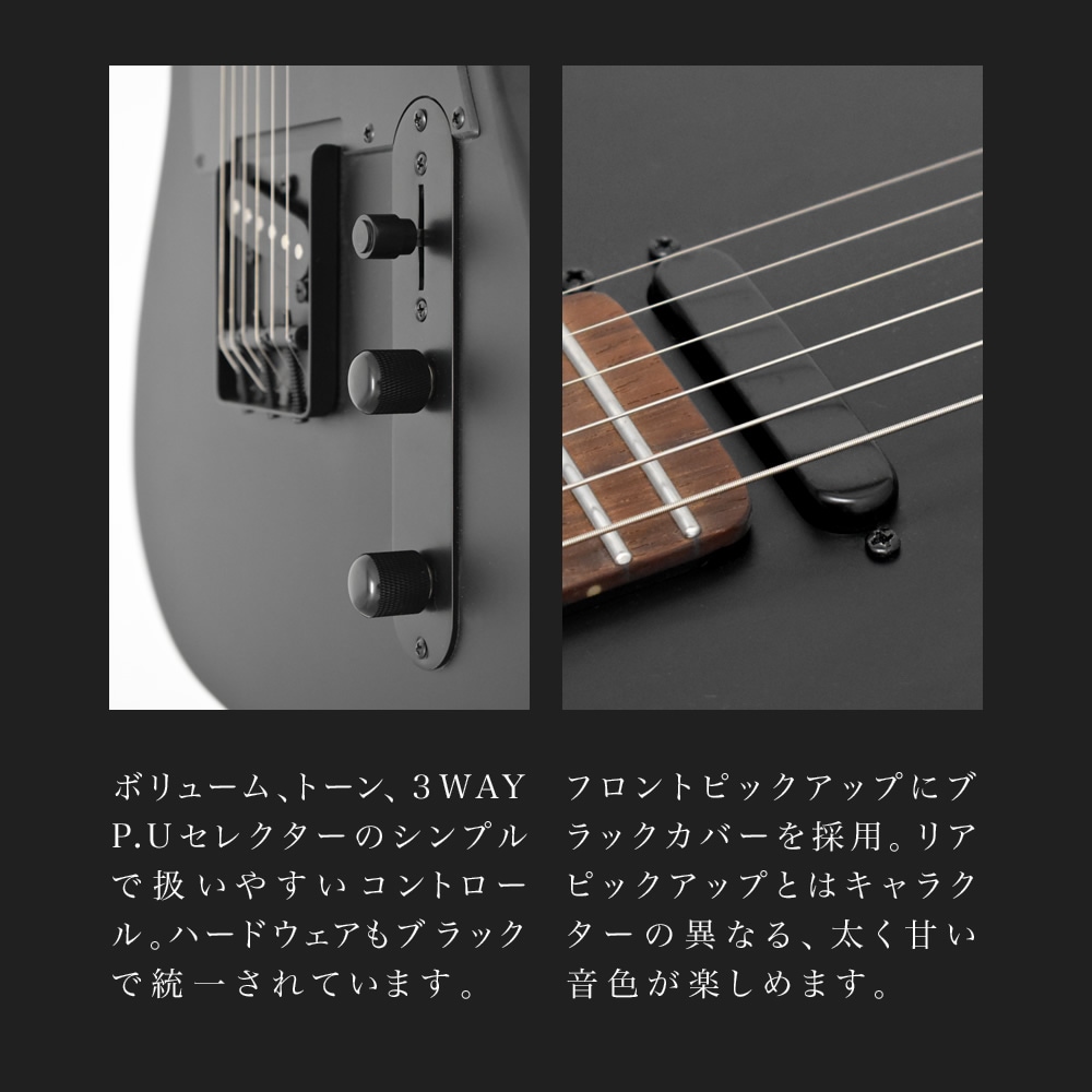 TLタイプ オールブラック エレキギター SELDER TLC-04 スーパー