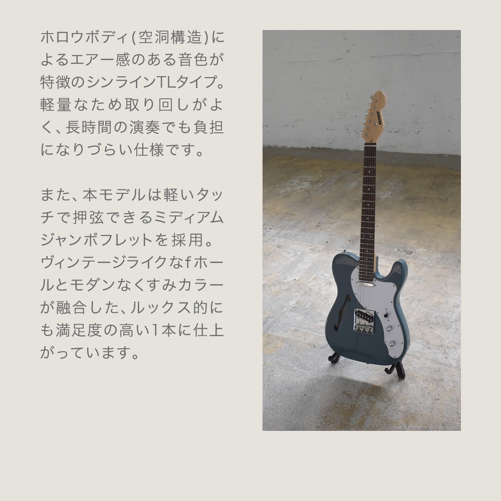 TLシンラインタイプ エレキギター SELDER TLT-20 ソフトケース