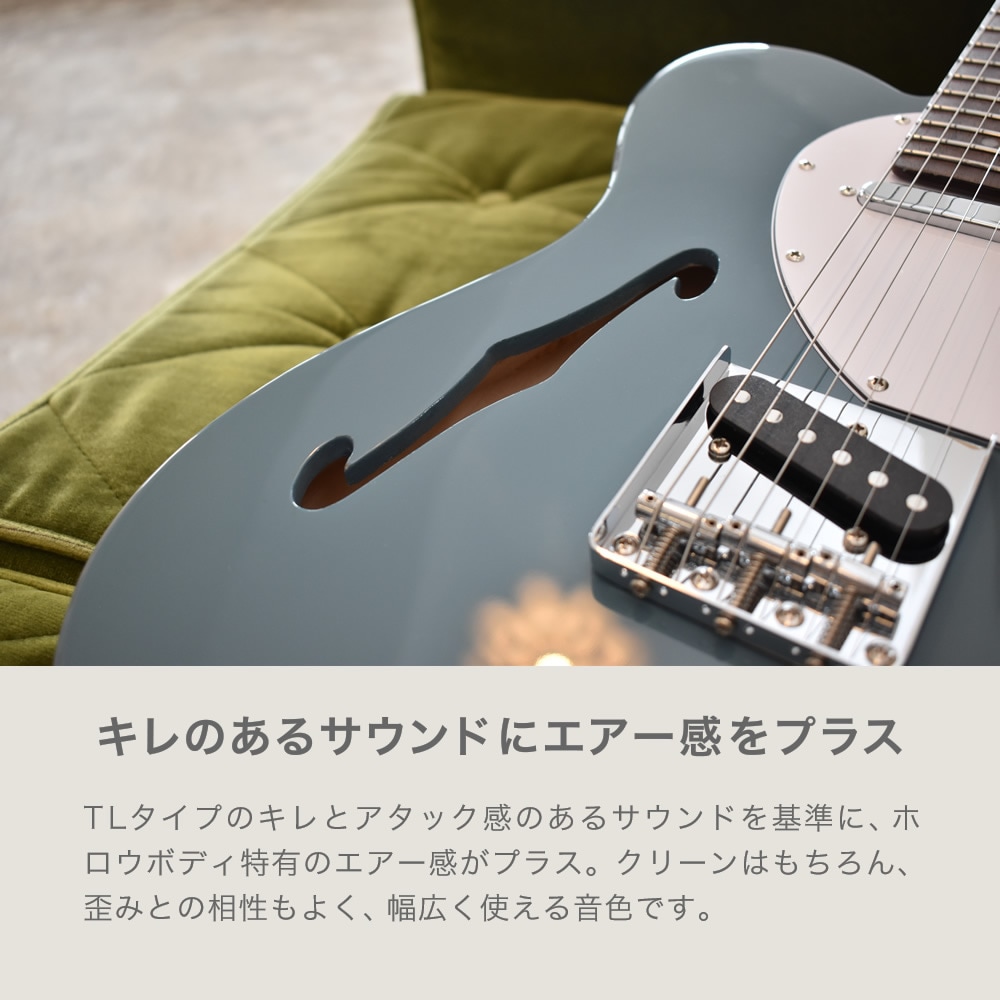 TLシンラインタイプ エレキギター SELDER TLT-20 ソフトケース
