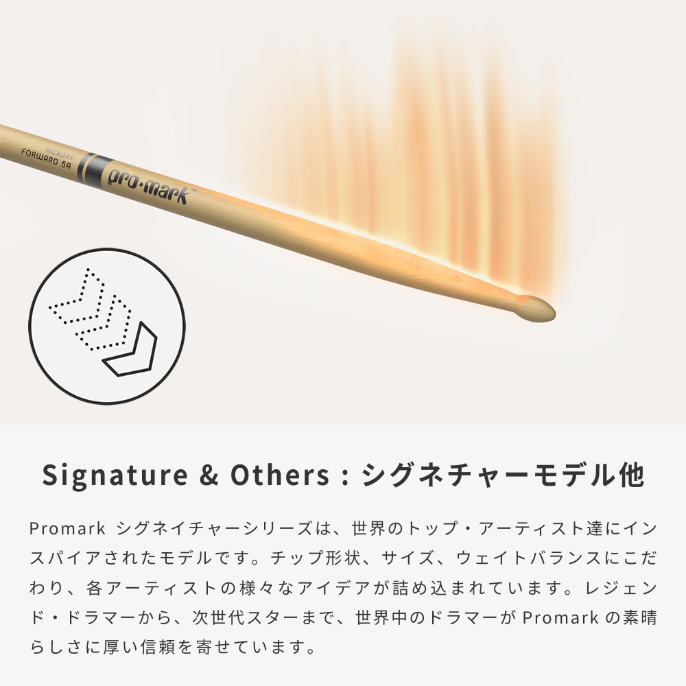 PROMARK ドラムスティック 5B メイプル SD531W【1ペア2本】【プロ