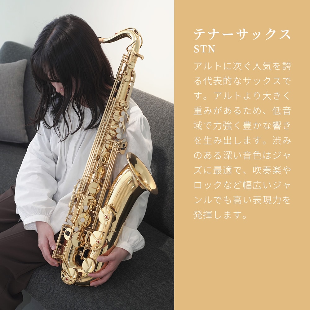 Soleil テナーサックス 初心者 入門セット STN-1【ソレイユ STN1