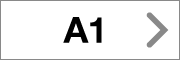 A1