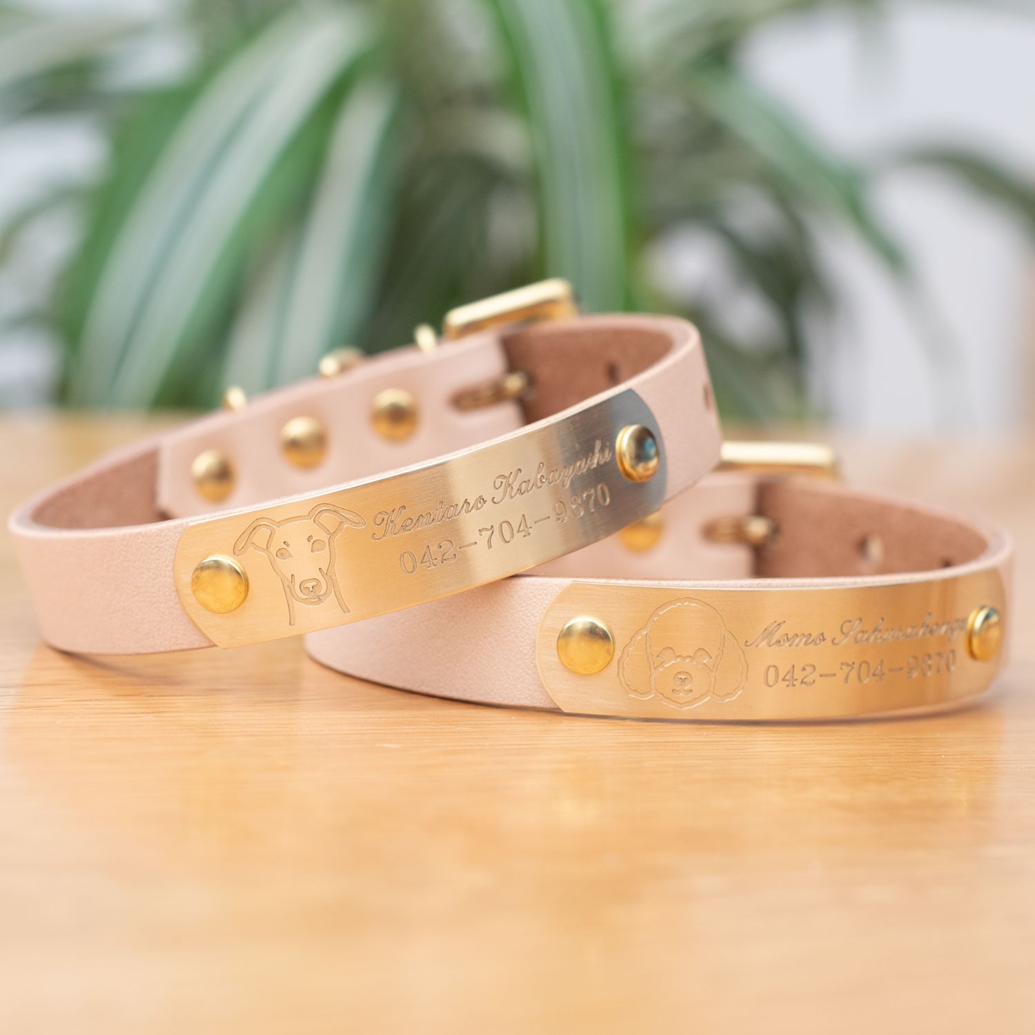 本革首輪・おしゃれ首輪・迷子札首輪の サクラ犬具製作所 / 犬種別顔