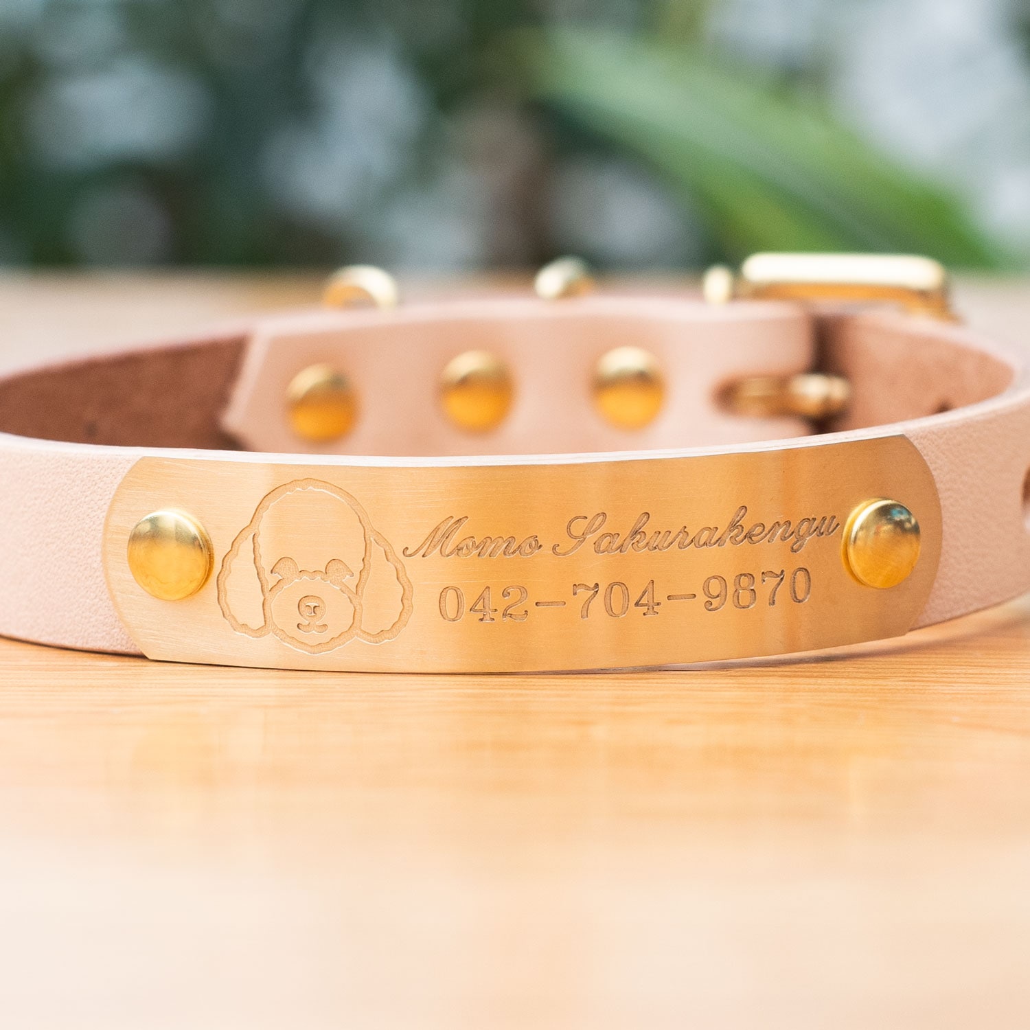 本革首輪・おしゃれ首輪・迷子札首輪の サクラ犬具製作所 / 犬種別顔