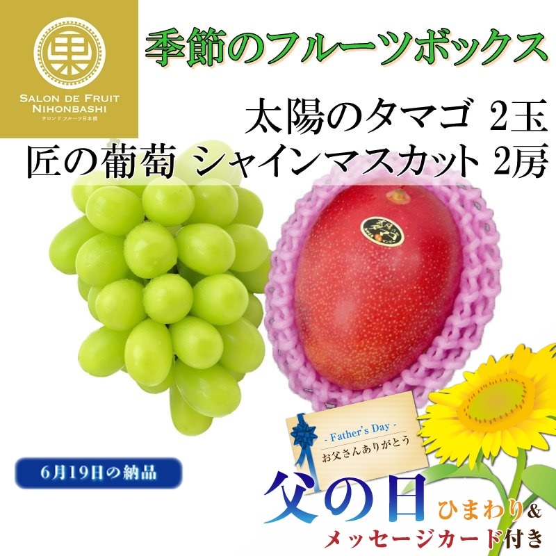 数量限定アウトレット最安価格 2022 ギフト 岡山県産 シャインマスカット 晴王 ピオーネ 赤秀品 大粒 2房 400g×2 贈答用 御中元 葡萄  ブドウ ぶどう 果物 フルーツ xtremeoutdoors-mo.com