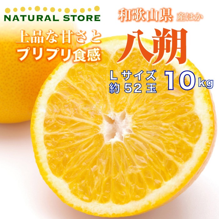 予約 12月1日-12月31日の納品] 八朔 はっさく 10kg 和歌山県産 L 柑橘