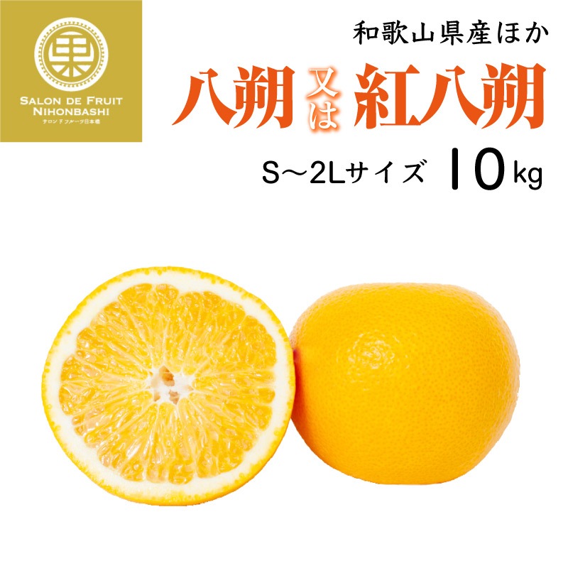 予約 2024年1月1日必着] 八朔 紅八朔 はっさく10kg箱 S-2L 和歌山県産