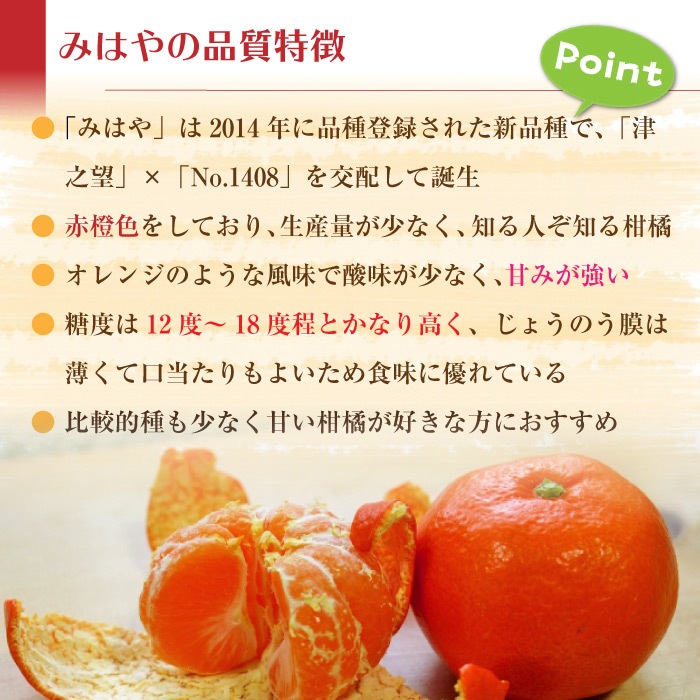 予約 2023年 11月25日-12月15日の納品] みはや 約5kg 3L 熊本県産ほか