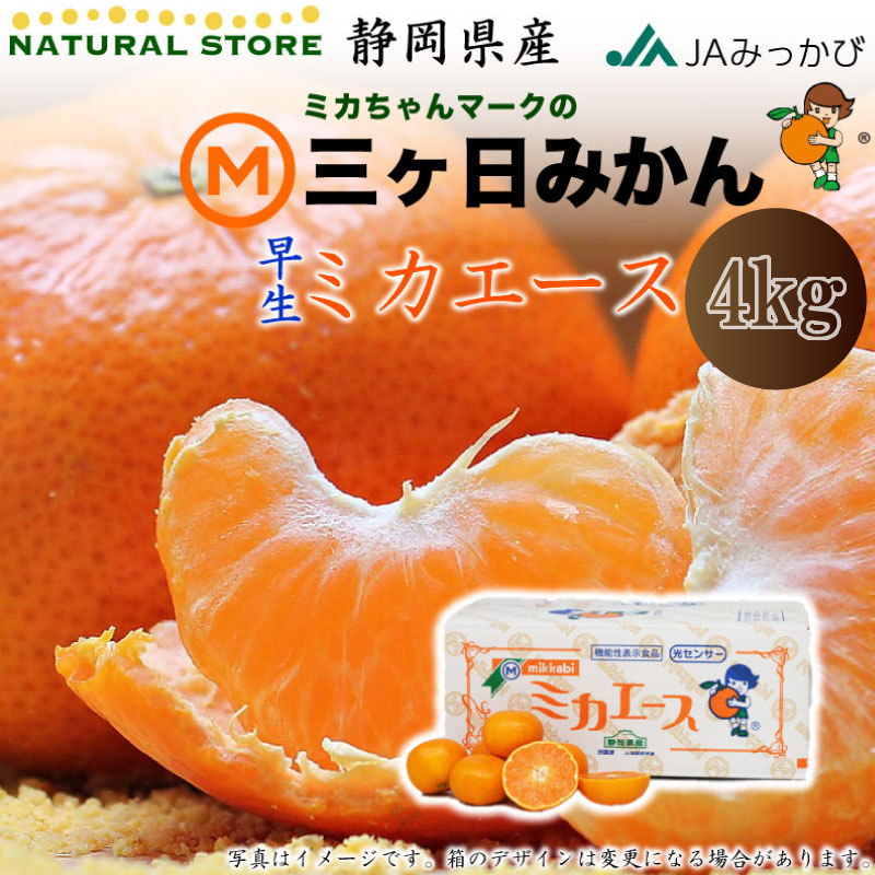 予約 11月15日-12月5日の納品] ミカエース 早生 三ケ日みかん 約 4kg 早生みかん 静岡県産 JAみっかび 産地箱 冬ギフト お歳暮  御歳暮 | 冬ギフト特集 | サロンドフルーツ日本橋