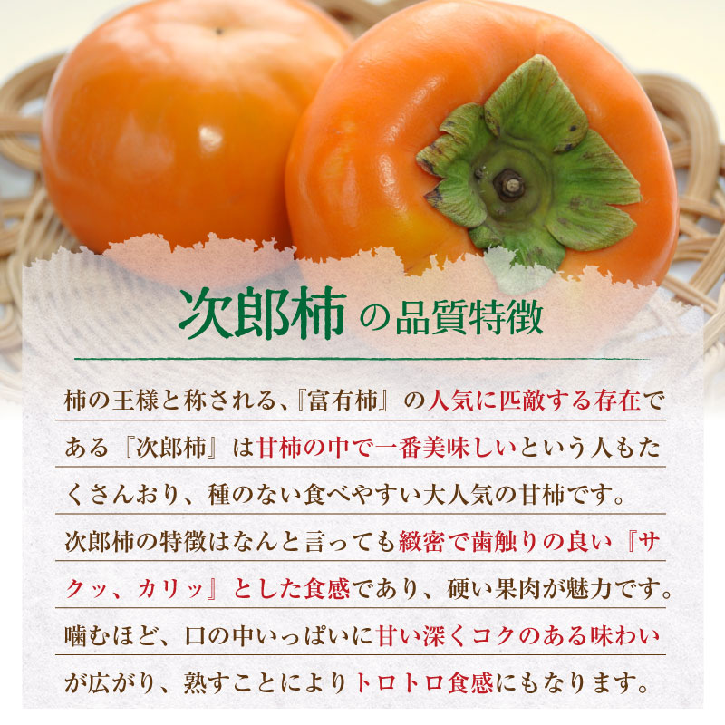 予約 10月15日-11月30日の納品] 次郎柿 甘柿 7-12玉 約3kg 愛知県 愛媛県 静岡県産 秋ギフト じろうがき 甘柿 化粧箱 柿  冬ギフト お歳暮 御歳暮 | 旬の厳選フルーツ | サロンドフルーツ日本橋