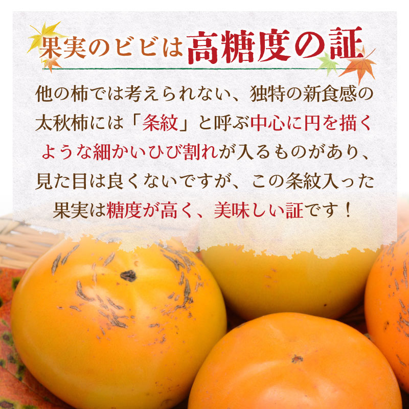 予約 10月1日-10月31日の納品] 太秋柿 約 3kg 7-12玉 甘柿 かき たいしゅうがき 秋ギフト 愛媛 福岡 熊本 他 化粧箱 柿 |  旬の厳選フルーツ,柿 | サロンドフルーツ日本橋