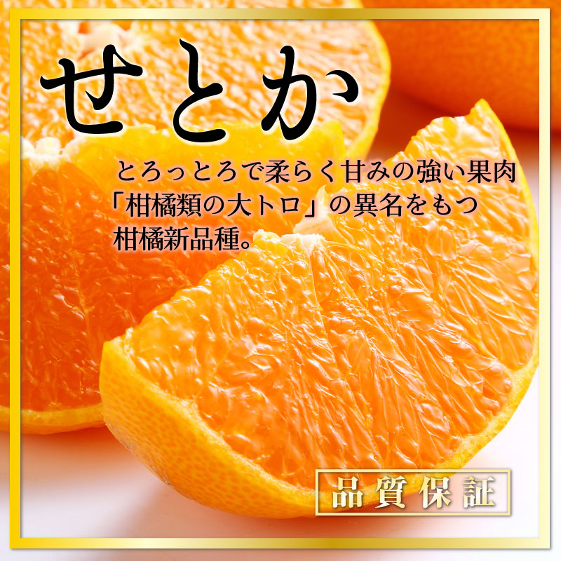 年間ランキング6年連続受賞】 せとか 佐賀県 愛媛県産 箱込み5kg 大き