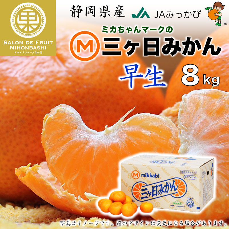 予約 12月1日-12月10日の納品] 三ケ日みかん 約8kg 早生 静岡県産 JAみっかび 早生 冬ギフト お歳暮 御歳暮 | 冬ギフト特集 |  サロンドフルーツ日本橋