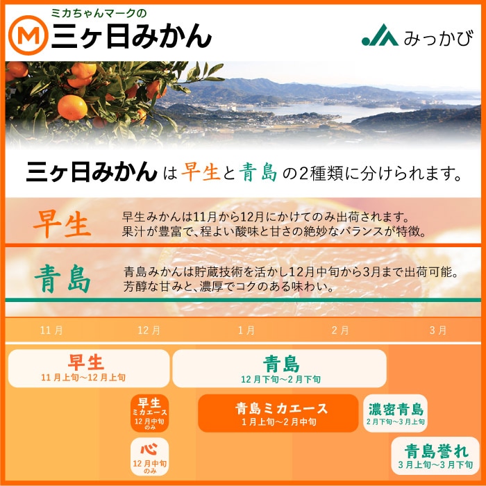 予約 10月20日-11月5日の納品] 三ケ日みかん 早生 約 8kg Lサイズ 静岡県産 JAみっかび 早生 蜜柑 冬ギフト お歳暮 御歳暮 |  旬の厳選フルーツ | サロンドフルーツ日本橋