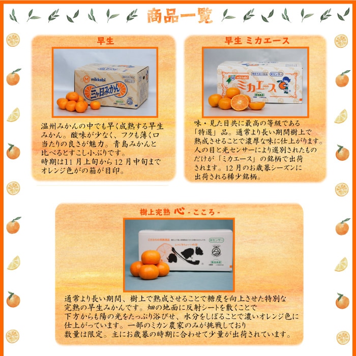 [予約 12月5日から12月30日のご納品] 三ケ日みかん 早生 約 7kg 2Lサイズ 静岡県産 JAみっかび 三ヶ日みかん 早生みかん 蜜柑  ギフト 三ヶ日 箱買い 産地箱 | 旬の厳選フルーツ | サロンドフルーツ日本橋