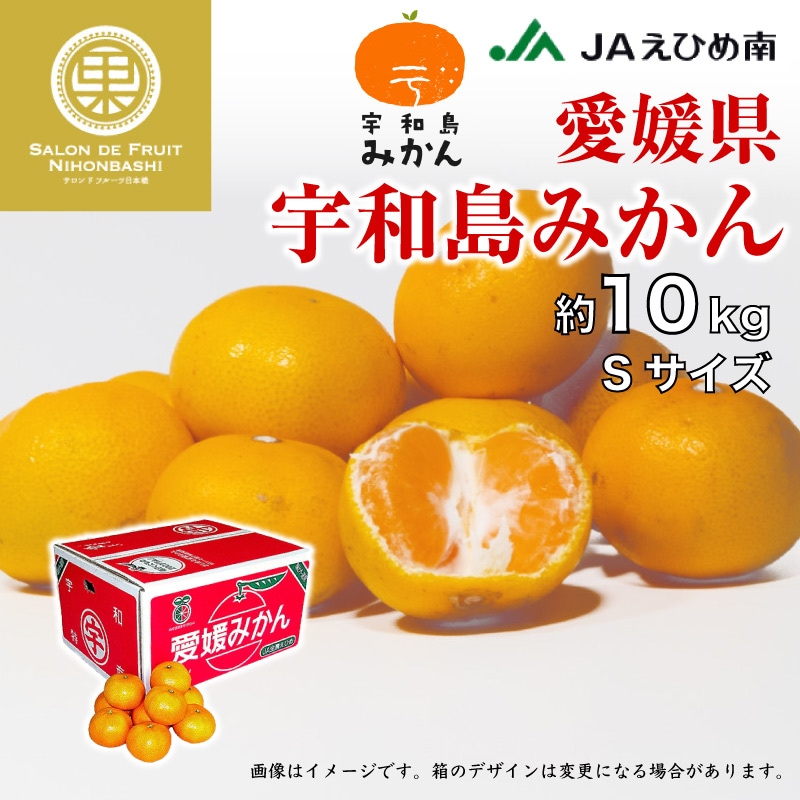 予約12月5日から12月30日の納品] 宇和島みかん S 約10kg 愛媛県 産地箱 早生 南柑20号 産地箱 冬ギフト お歳暮 御歳暮 |  旬の厳選フルーツ,温州みかん | サロンドフルーツ日本橋