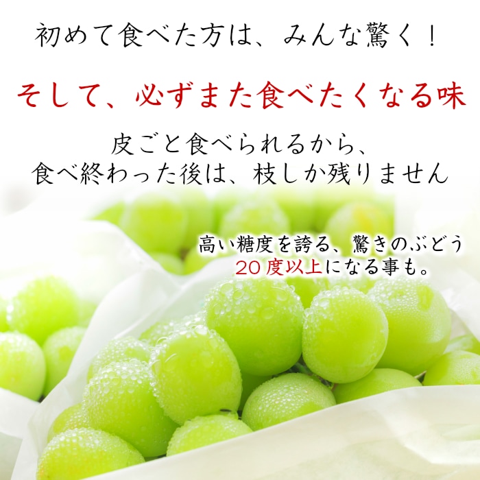 最短順次発送]シャインマスカット 大粒500g~600g 5房~7房 計約３キロ 正箱 山梨県笛吹産 お中元 御中元 夏ギフト お取り寄せ |  旬の厳選フルーツ | サロンドフルーツ日本橋