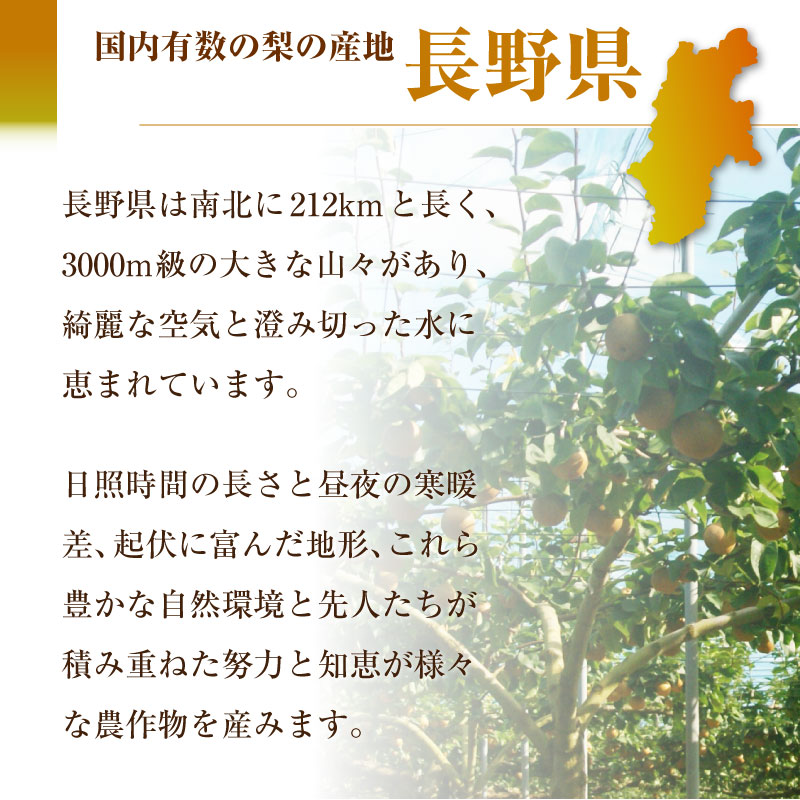 予約 9月20日-10月15日の納品] 南水 約2kg 3-7玉 長野県産 梨 通販 秋ギフト 果物ギフト 果物 和梨 プレゼント なし 贈り物 |  秋ギフト特集,和梨 | サロンドフルーツ日本橋